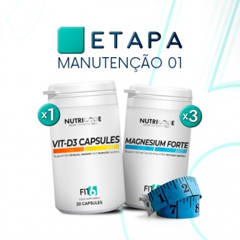 FIT6 - New Generation - Manutenção 1